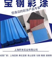 宝钢彩钢板 0.5mm海蓝404彩钢卷 PE普通聚酯 屋面维护用