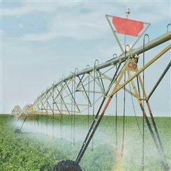 卷盘喷灌机移动大田平移式农业用指针式淋灌机适用大面积农林作物