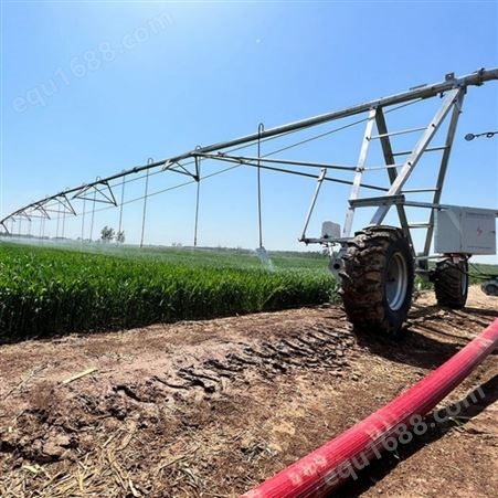 卷盘喷灌机移动大田平移式农业用指针式淋灌机适用大面积农林作物