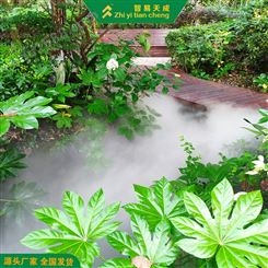 徐州庭院雾森景观系统安装公司 高压雾化喷淋系统 智易天成