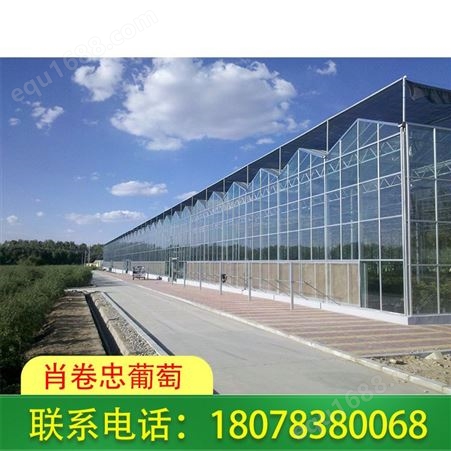 桂林玻璃大棚安装-广西连栋温室大棚厂家电话在线