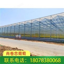 广西花卉温室大棚厂家承接建设施工服务
