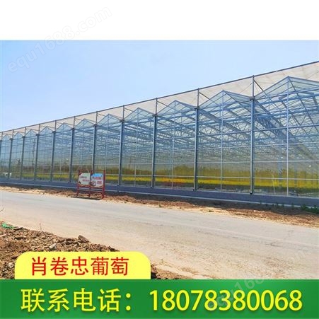 广西花卉温室大棚厂家承接建设施工服务