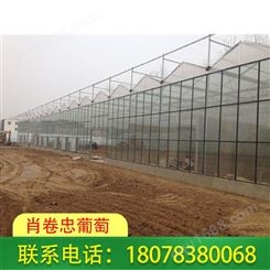 广西桂林连栋玻璃温室大棚厂家配件齐全