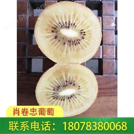 广西桂林黄金奇异果味道好-基地绿色种植