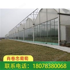 桂林玻璃大棚-广西温室工程承接请找肖卷忠