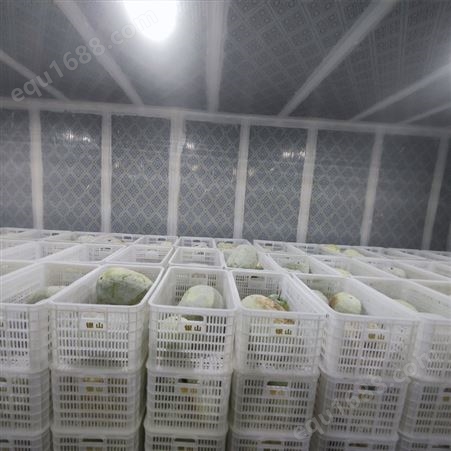 新鲜大冬瓜 果实均匀 产量高 种类多样 斯刻达供应