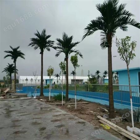 室内外景观椰子树造景仿真绿植北方地区厂家天骄园林设计出品