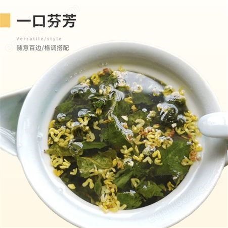 道养智桂花茶乌龙茶三角茶生茶浓香型组合饮品茶