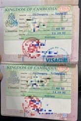 柬埔寨商务签二年多次 经验丰富 一对一服务