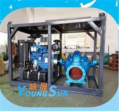 变频潜水污水泵 小型柴油水泵价格 咏晟