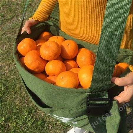 果树摘果袋山楂采果袋怎么样好用吗