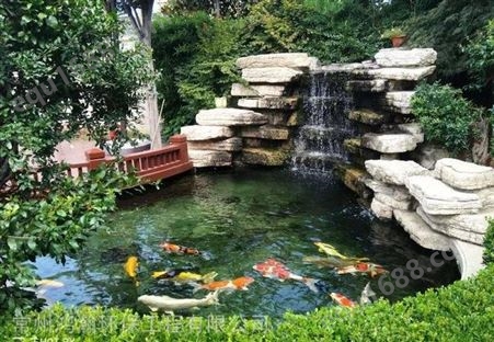 长沙市酒店观赏鱼池水净化工程