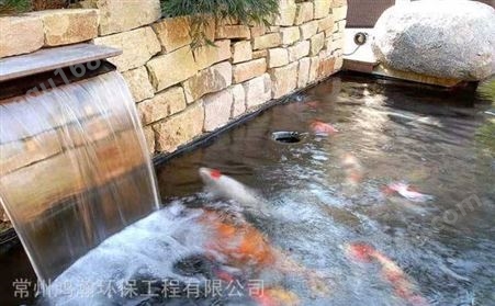 长沙市酒店观赏鱼池水净化工程