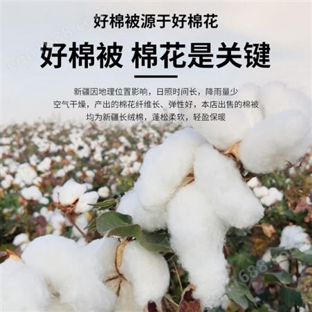 救灾棉花被 加厚保暖单人棉被 学生员工宿舍应急劳保棉被褥厂家批发