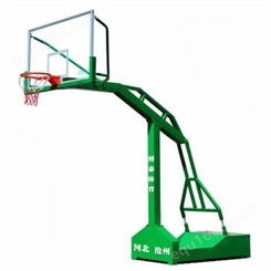 重庆篮球架厂家 室内外篮球架 固定移动篮球架 龙泰体育
