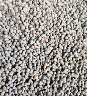 陶粒 回填黏土建筑陶粒/园林陶粒轻质填充陶粒用于花卉养殖